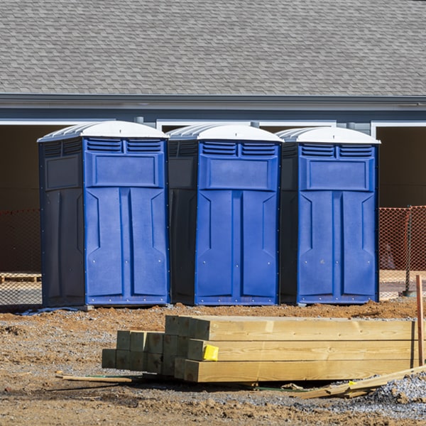 what is the cost difference between standard and deluxe porta potty rentals in Johnson Lane NV